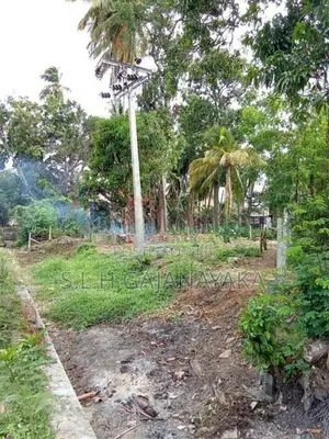 Land for Sale in Thissamaharama town