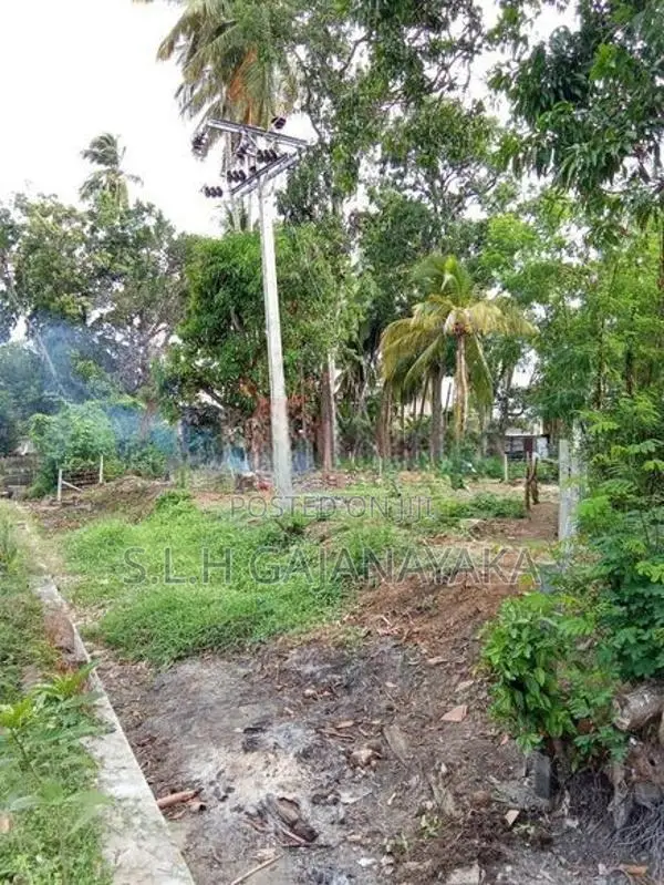 Land for Sale in Thissamaharama town