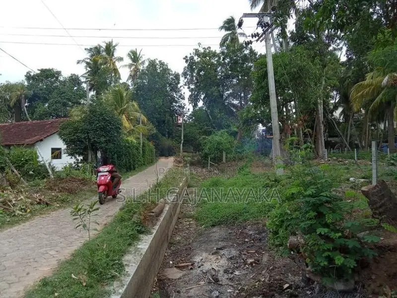Land for Sale in Thissamaharama town