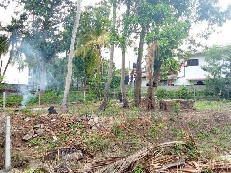 Land for Sale in Thissamaharama town