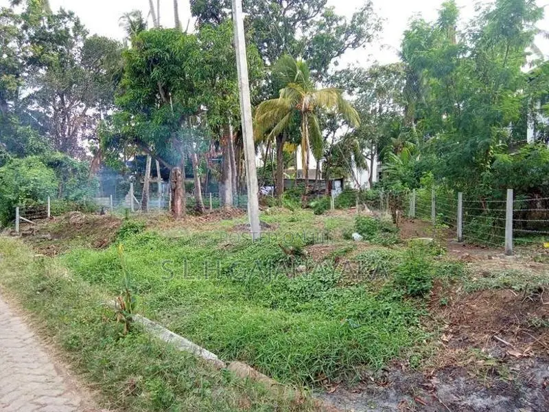 Land for Sale in Thissamaharama town