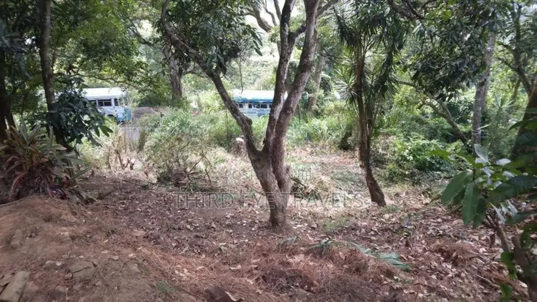මහනුවර – හන්තාන ප්‍රදේශයේ පර්චස් 8.14ක ඉඩමක් විකිණීමට