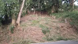 මහනුවර – හන්තාන ප්‍රදේශයේ පර්චස් 8.14ක ඉඩමක් විකිණීමට