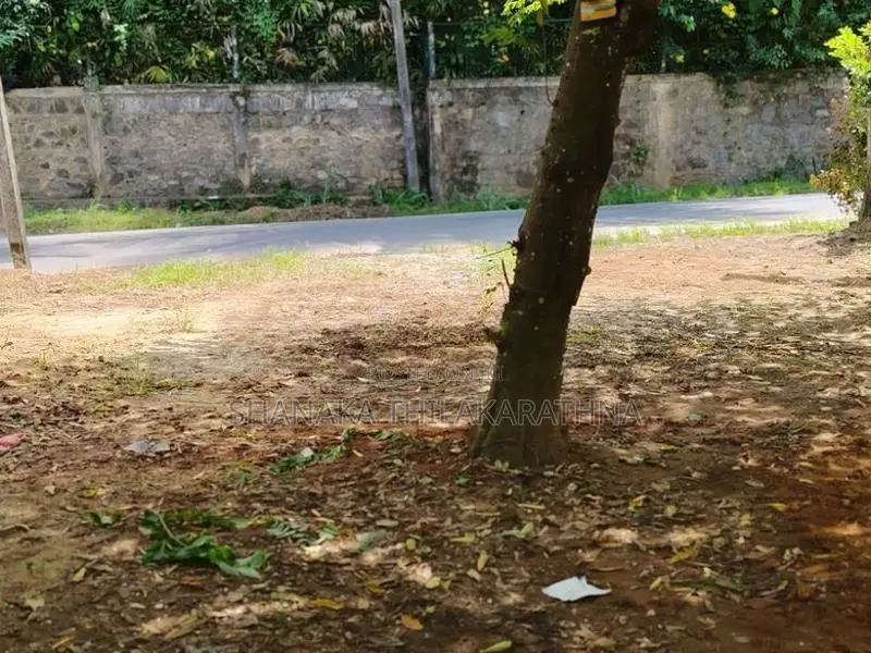 6 Perches Residential Land for Sale in Peradeniya
