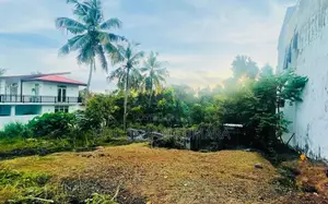 Land For Sale (Makola)
