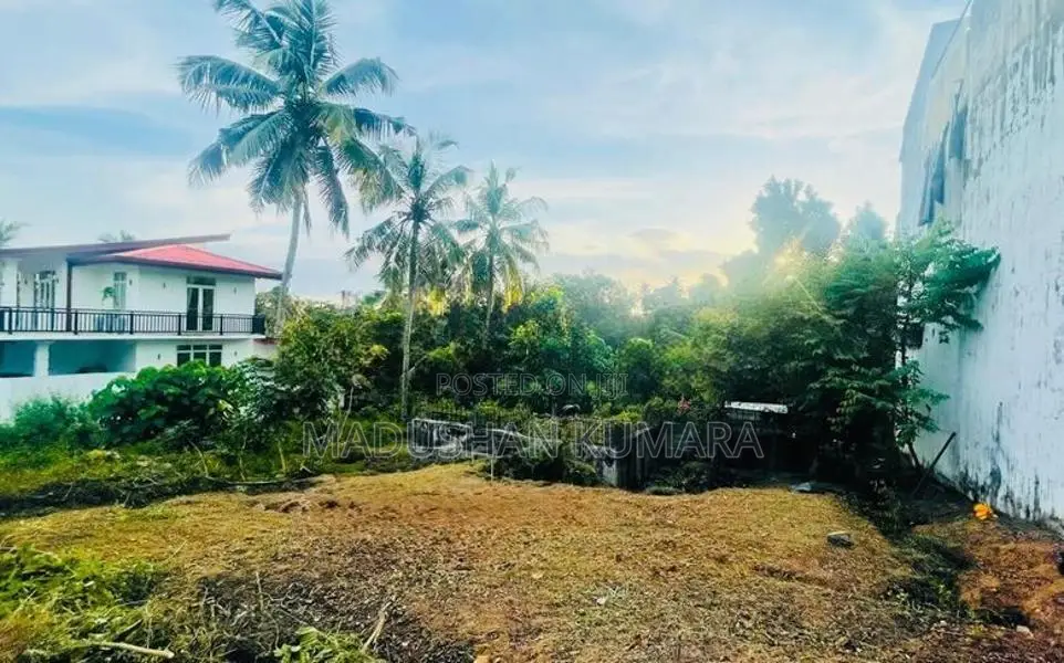 Land For Sale (Makola)