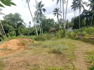 Land for Sale in Pasyala