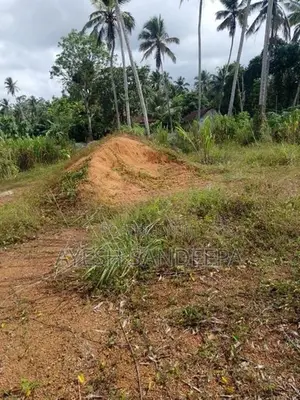 Land for Sale in Pasyala