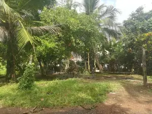 Land for Sale in Kudamaduwa