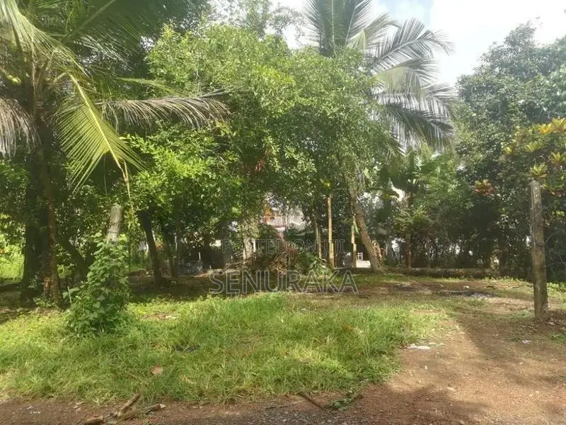 Land for Sale in Kudamaduwa