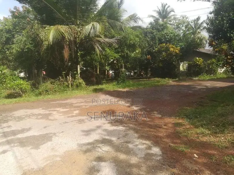 Land for Sale in Kudamaduwa