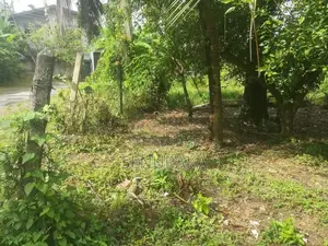 Land for Sale in Kudamaduwa