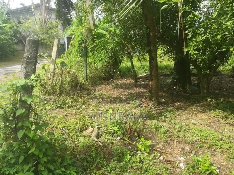 Land for Sale in Kudamaduwa