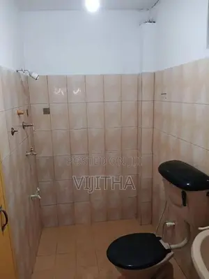 Anex for rent