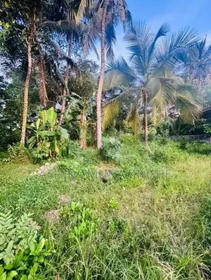 Land for Sale in Weliweriya - වෙලිවේරිය නගරයේ නව නුවර පාරෙන් මීටර් 300