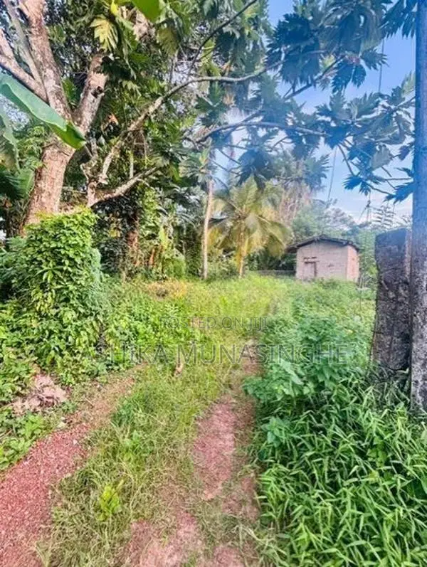 Land for Sale in Weliweriya - වෙලිවේරිය නගරයේ නව නුවර පාරෙන් මීටර් 300