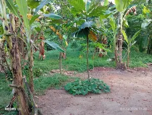Land for Sale Kalagedihena