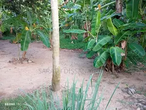 Land for Sale Kalagedihena