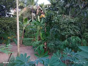 Land for Sale Kalagedihena