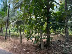 Land For Sale Wariyapola