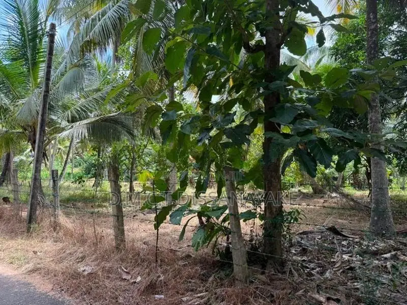 Land For Sale Wariyapola