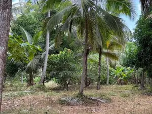 Land For Sale Wariyapola