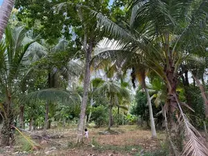 Land For Sale Wariyapola
