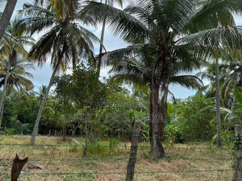 Land For Sale Wariyapola