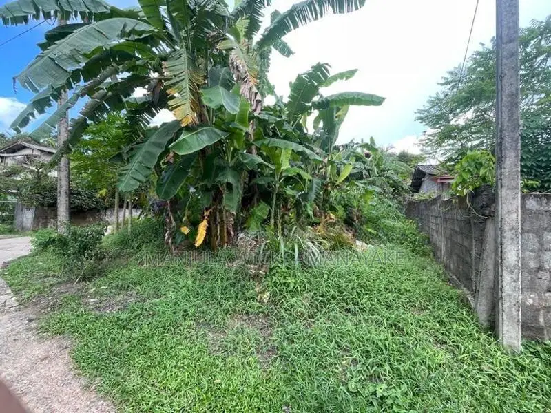 Land for Sale Gampaha