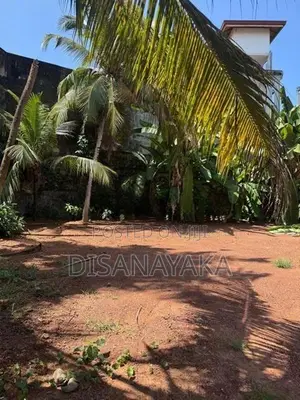 Super Land for Sale in Kotte DS1430