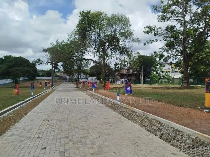 බොරලැස්ගමුව නගරයට ආසන්නව බිම් කොටස් විකිණීමට