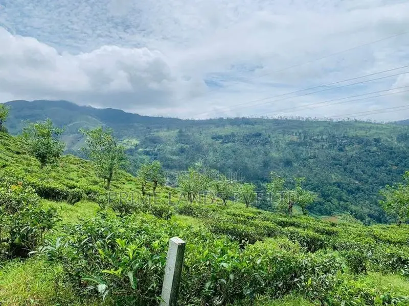 Land in Pudaluoya