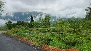 Land in Pudaluoya