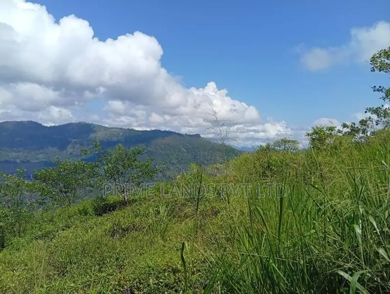 Land in Pudaluoya