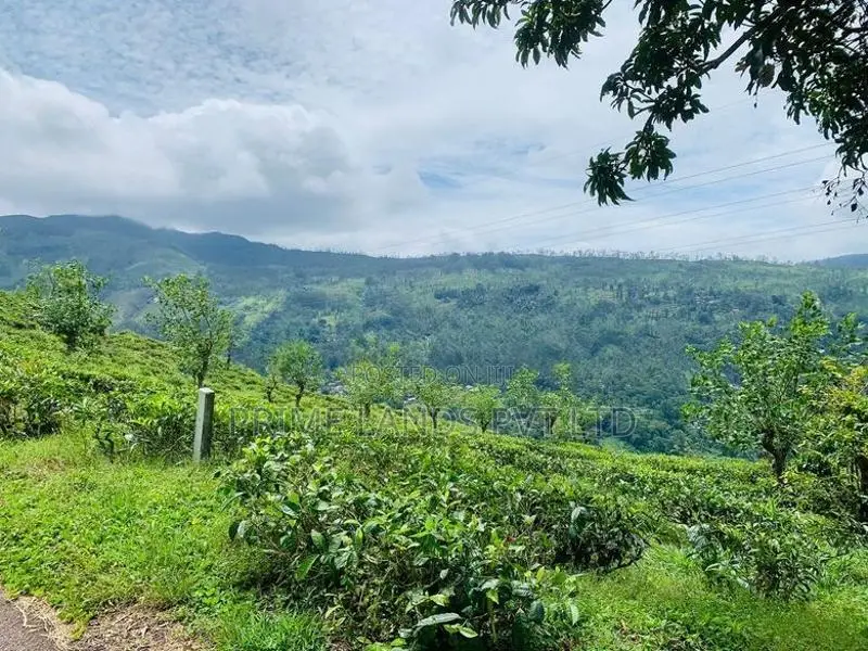Land in Pudaluoya