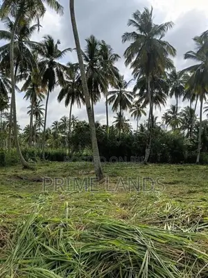 නාරම්මල ඉඩමක් විකිණීමට