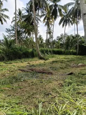 නාරම්මල ඉඩමක් විකිණීමට