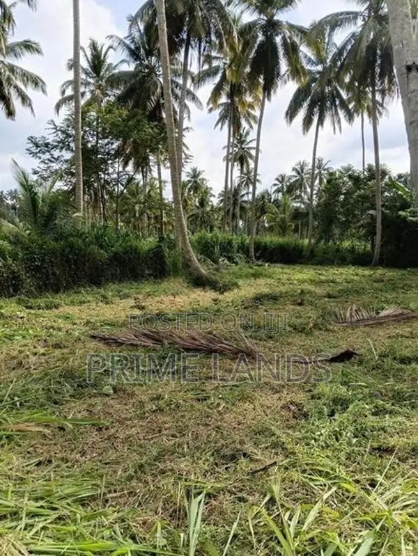 නාරම්මල ඉඩමක් විකිණීමට