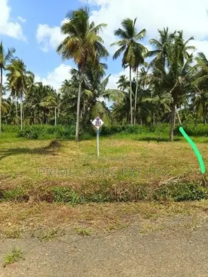 නාරම්මල ඉඩමක් විකිණීමට