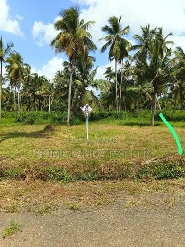 නාරම්මල ඉඩමක් විකිණීමට