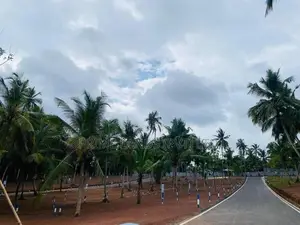 land for sale kandana