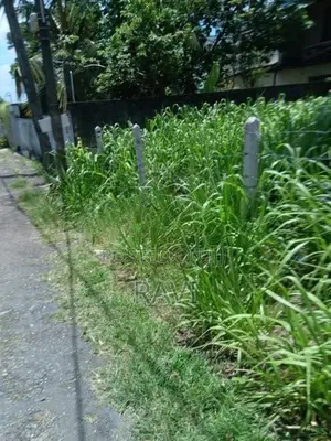 Malabe Land for Sale in Jothipala Mawatha