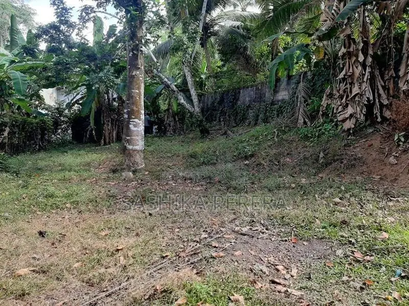 Residential Land in Homagama for Sale
