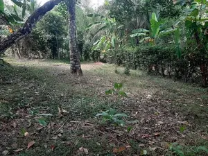Residential Land in Homagama for Sale