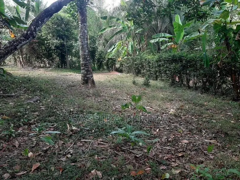 Residential Land in Homagama for Sale