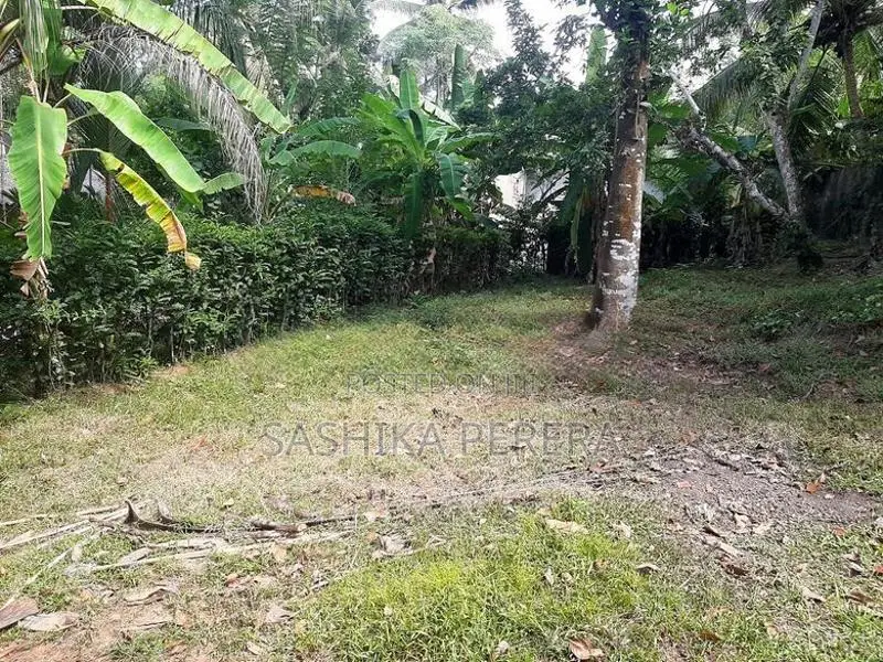 Residential Land in Homagama for Sale
