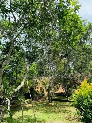 Land for Sale Near Mirissa, Weligama