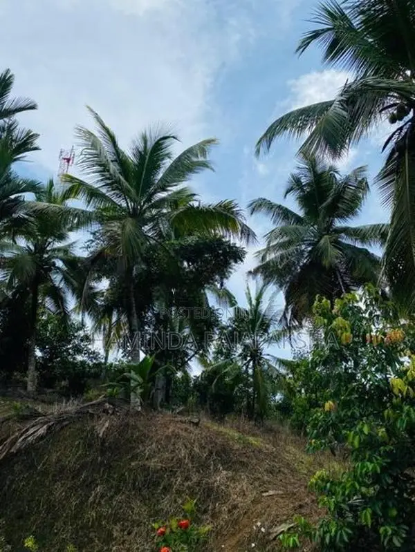 Land for Sale Near Mirissa, Weligama
