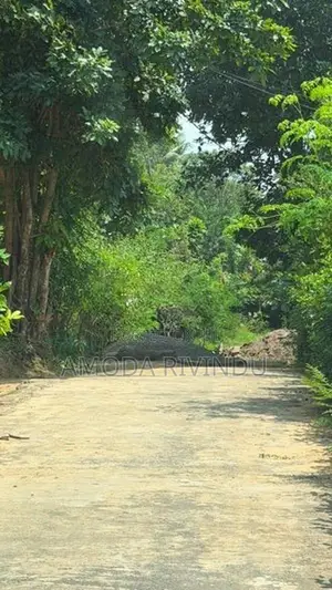 Land for Sale - Ampara