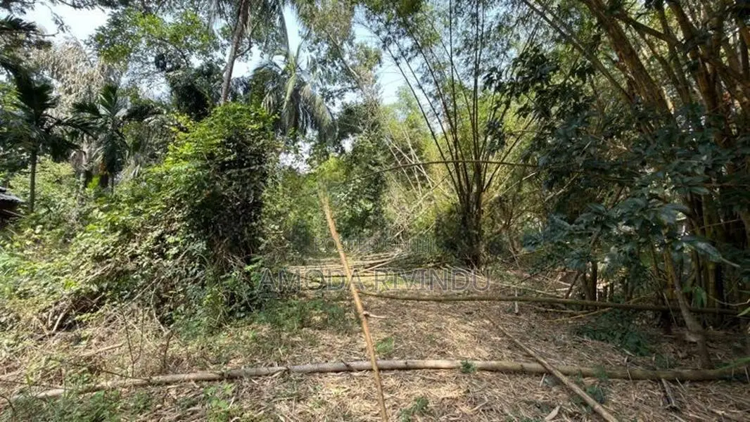 Land for Sale - Ampara